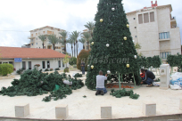 للسنة الثانية على التوالي - استعدادات لاضاءة شجرة عيد الميلاد الأضخم في البلاد بمدينة يافا